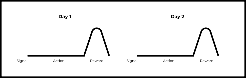 Signal